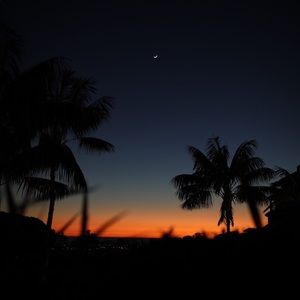 Meet your Posher, Toni